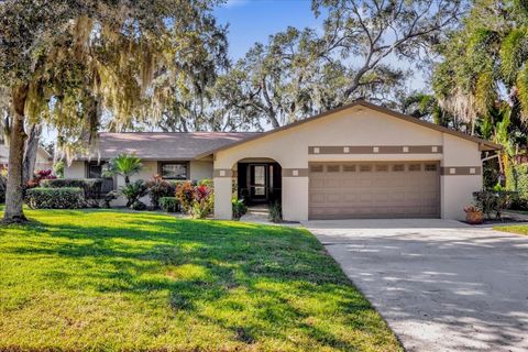 A home in OCOEE