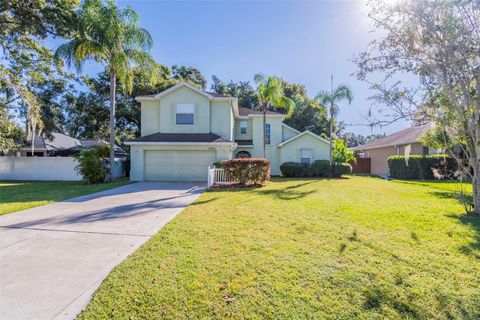 Photo of 2804 Spring Meadow Drive, Plant City, FL 33566 (MLS # O6343004)