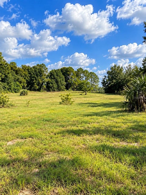 Tiny photo for Lake Burns Road, Umatilla, FL 32784 (MLS # OM734029)