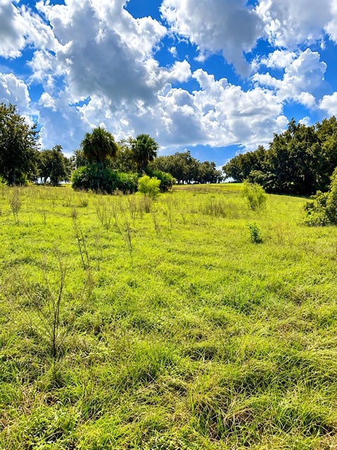Tiny photo for Lake Burns Road, Umatilla, FL 32784 (MLS # OM734029)