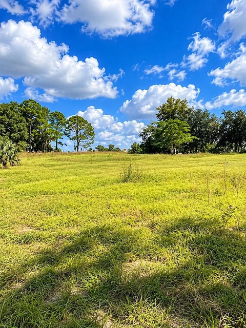 Tiny photo for Lake Burns Road, Umatilla, FL 32784 (MLS # OM734029)