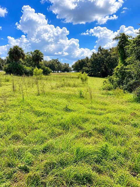 Tiny photo for Lake Burns Road, Umatilla, FL 32784 (MLS # OM734029)