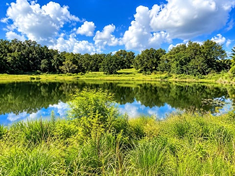 Tiny photo for Lake Burns Road, Umatilla, FL 32784 (MLS # OM734029)