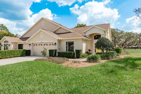 Photo of 9330 Whispering Meadow Court, New Port Richey, FL 34655 (MLS # TB8485959)