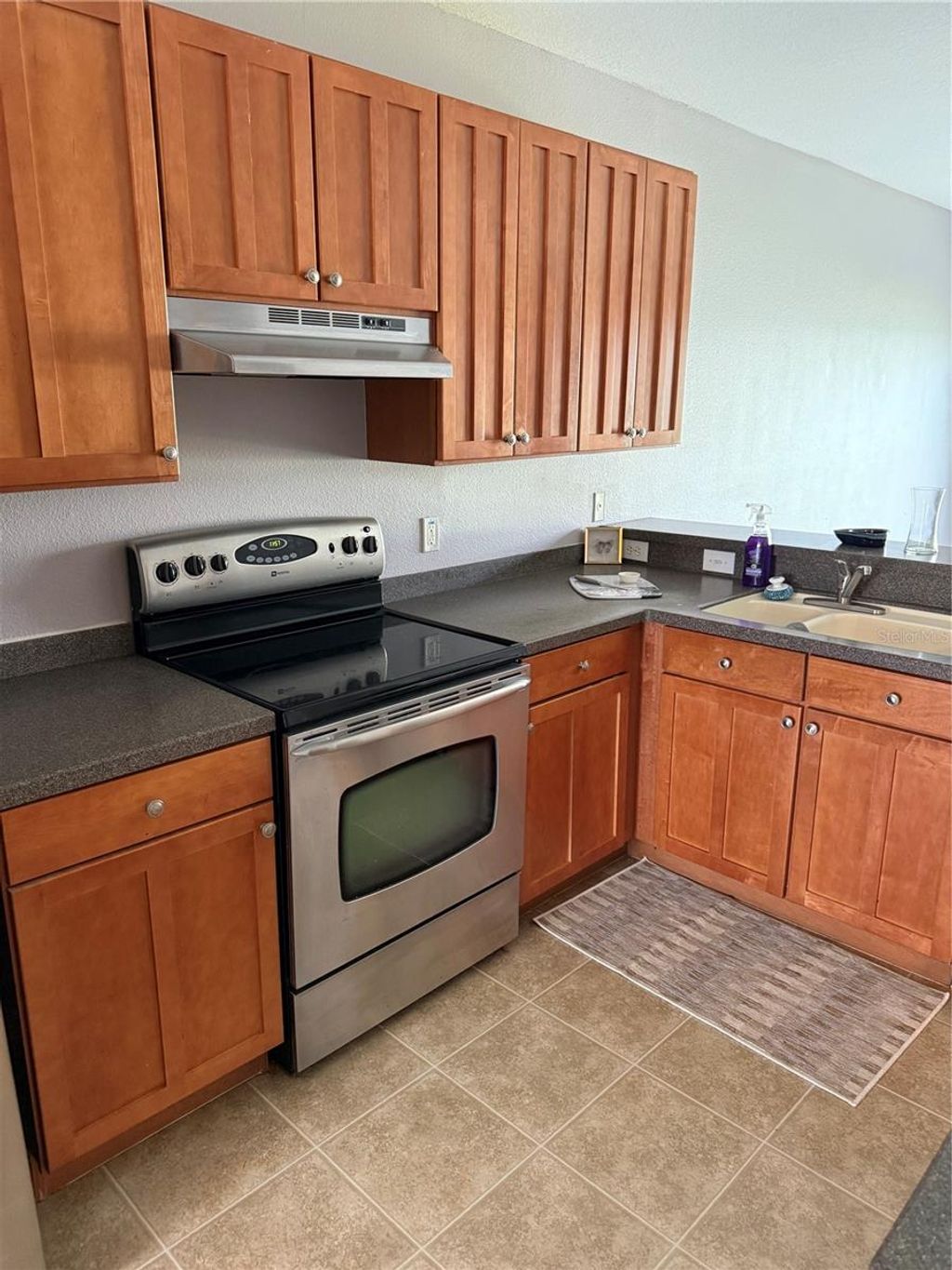 Photo of 16344 Swan View Circle, Odessa, FL 33556 (MLS # TB8493362)