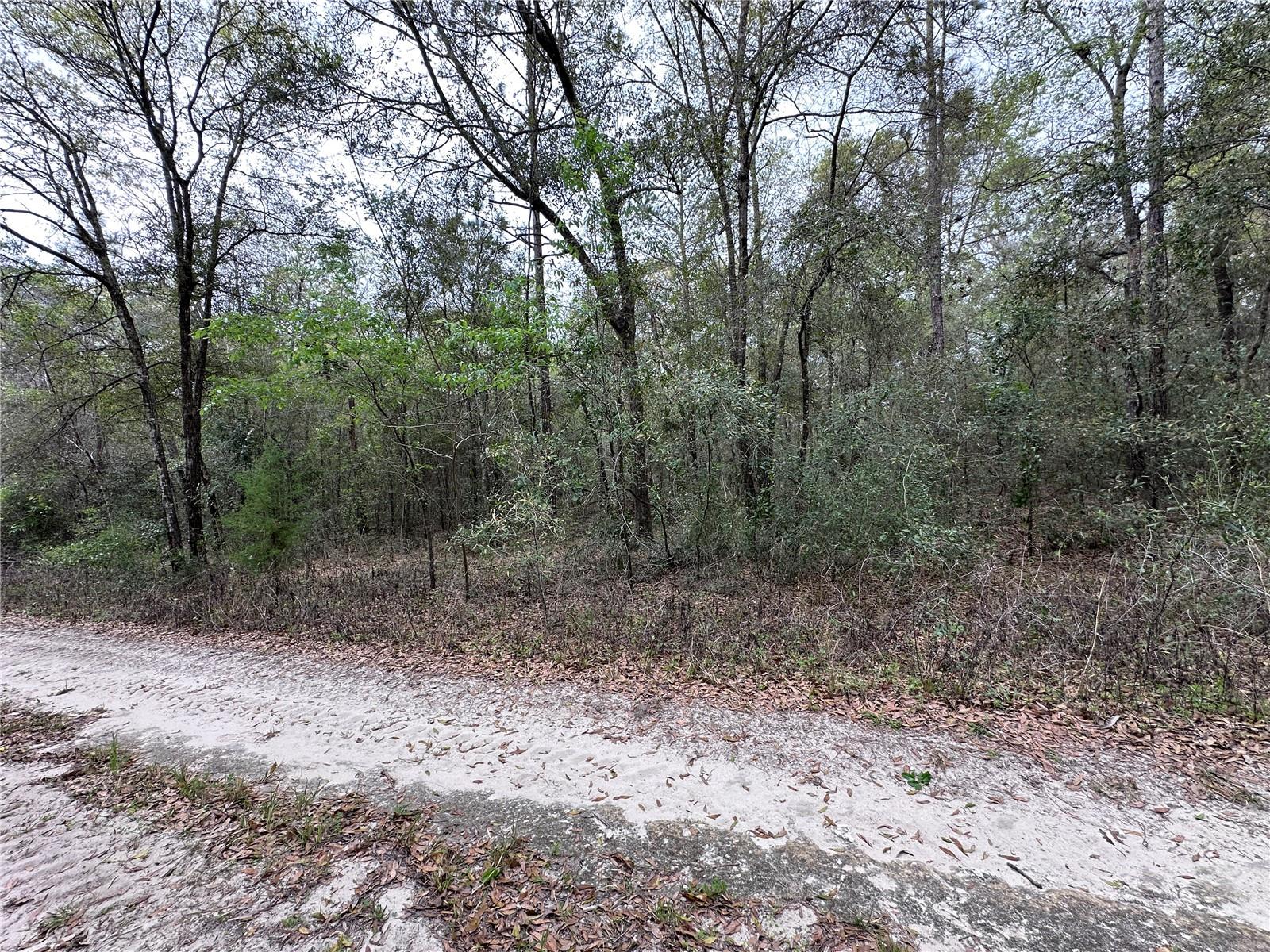 WILLISTON HIGHLANDS GOLF & C CLUB ESTATES - Land