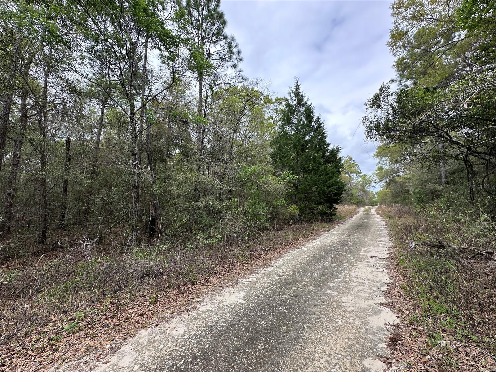 WILLISTON HIGHLANDS GOLF & C CLUB ESTATES - Land