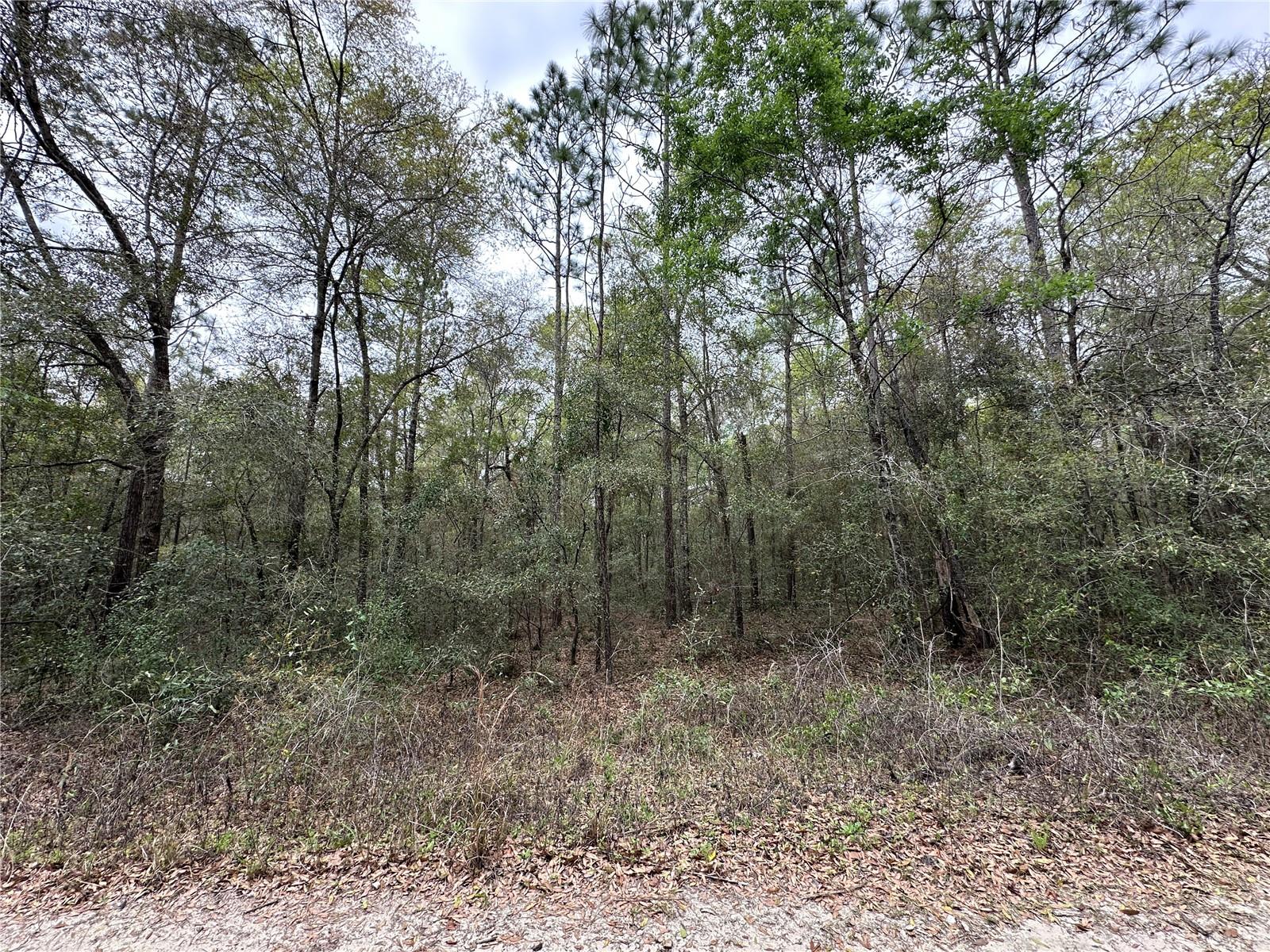 WILLISTON HIGHLANDS GOLF & C CLUB ESTATES - Land