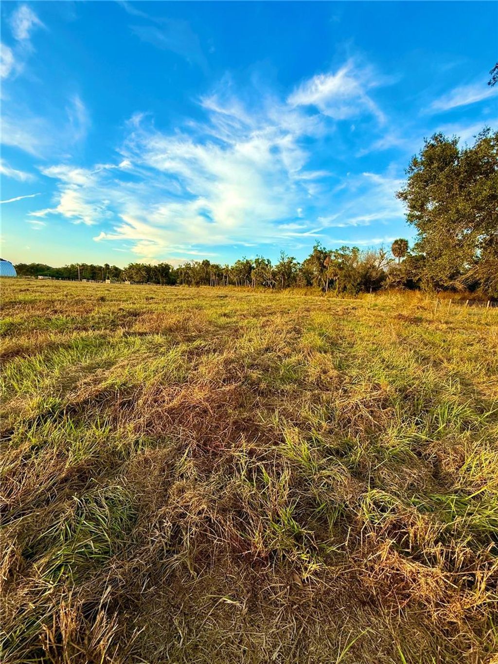 Photo of 2902 SE Piggyback Road, Arcadia, FL 34266 (MLS # A4673434)