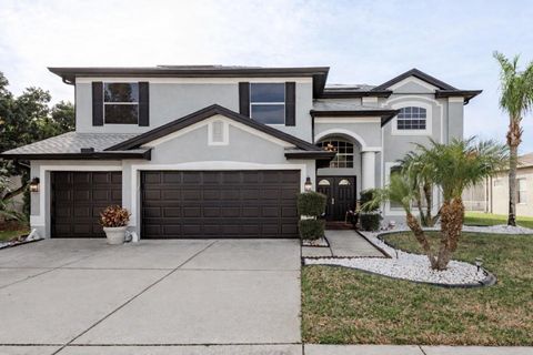 19216 INLET COVE COURT LUTZ FL 33558