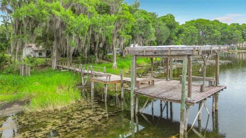 Tiny photo for 8980 E Devilsneck Road, Floral City, FL 34436 (MLS # OM726674)