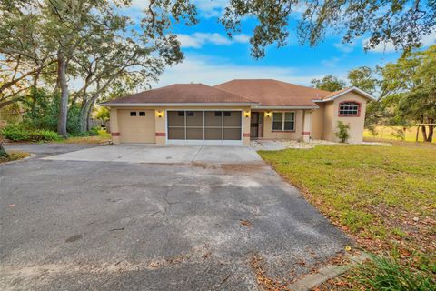 A home in SPRING HILL