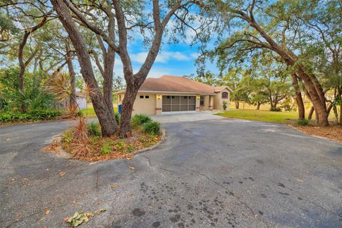 A home in SPRING HILL