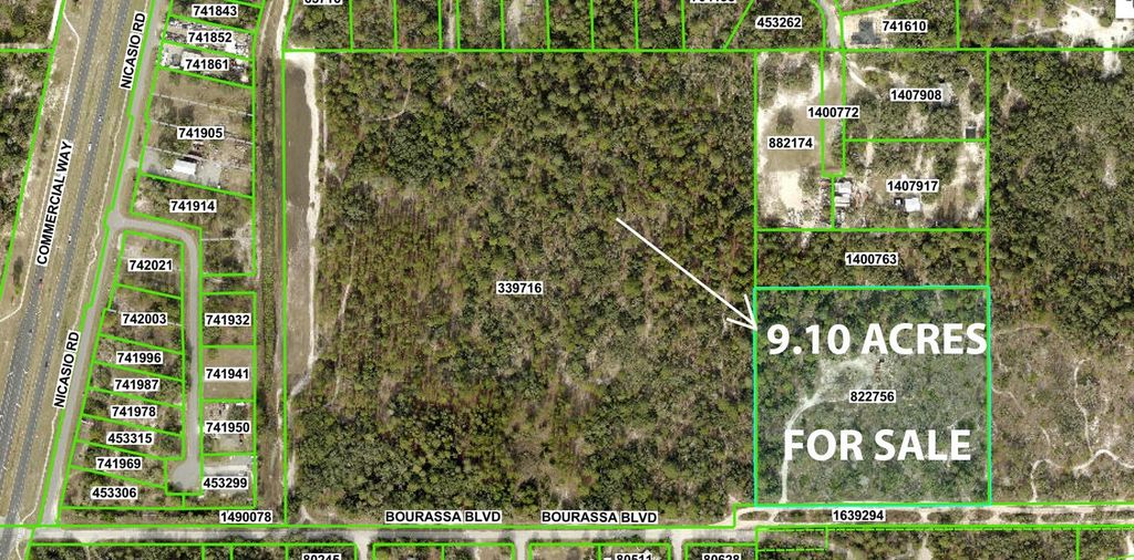 Photo of 11011 Bourassa Boulevard, Weeki Wachee, FL 34613 (MLS # W7868031)