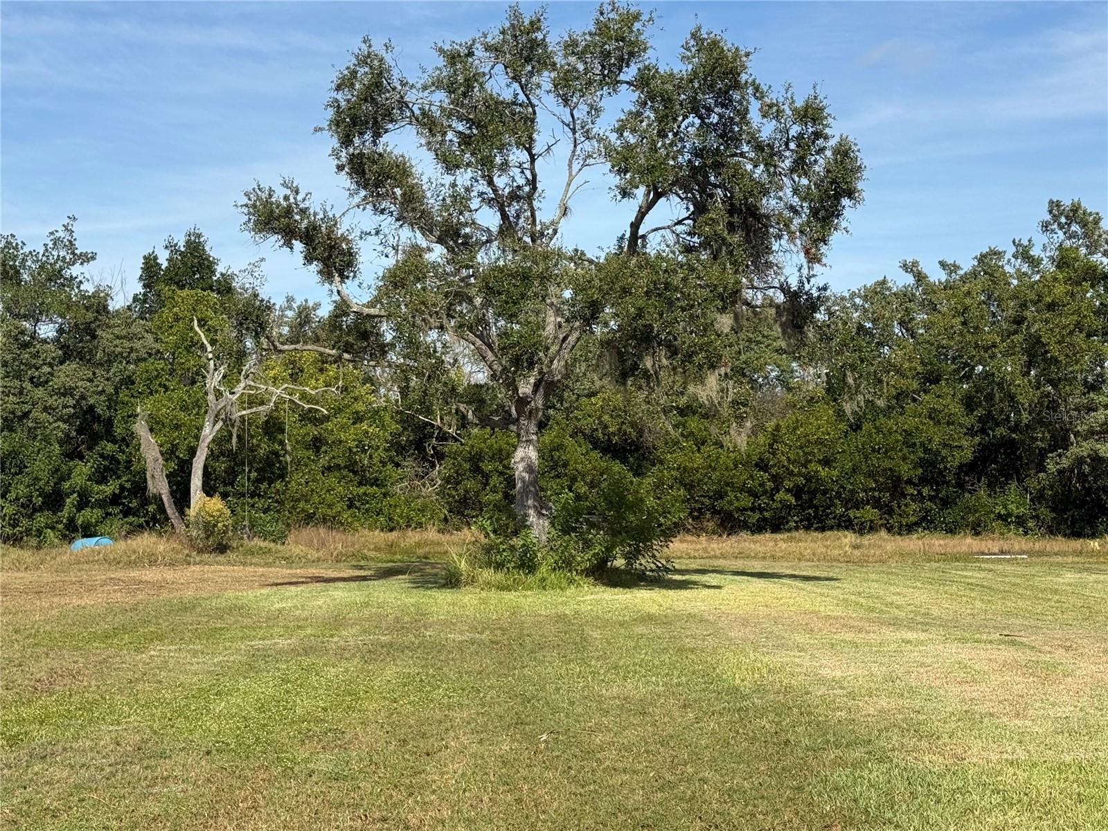 PINEY POINT - Residential