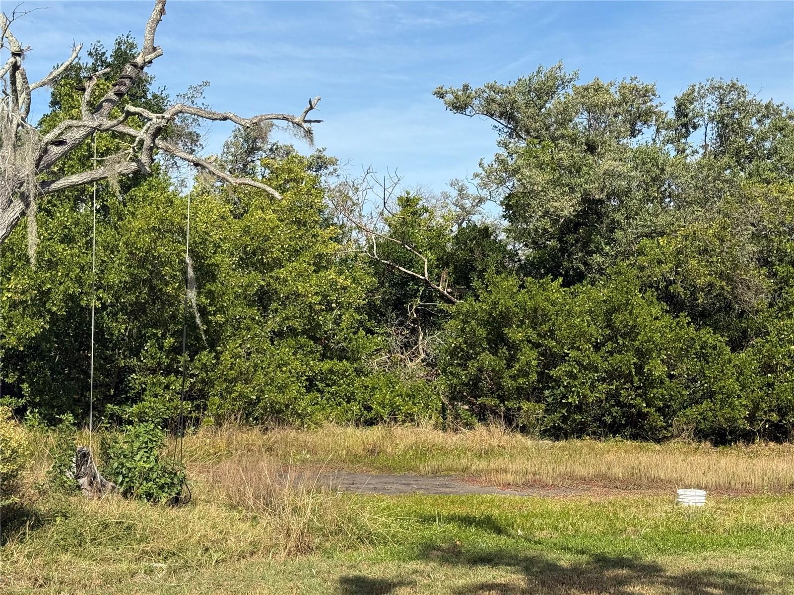 PINEY POINT - Residential