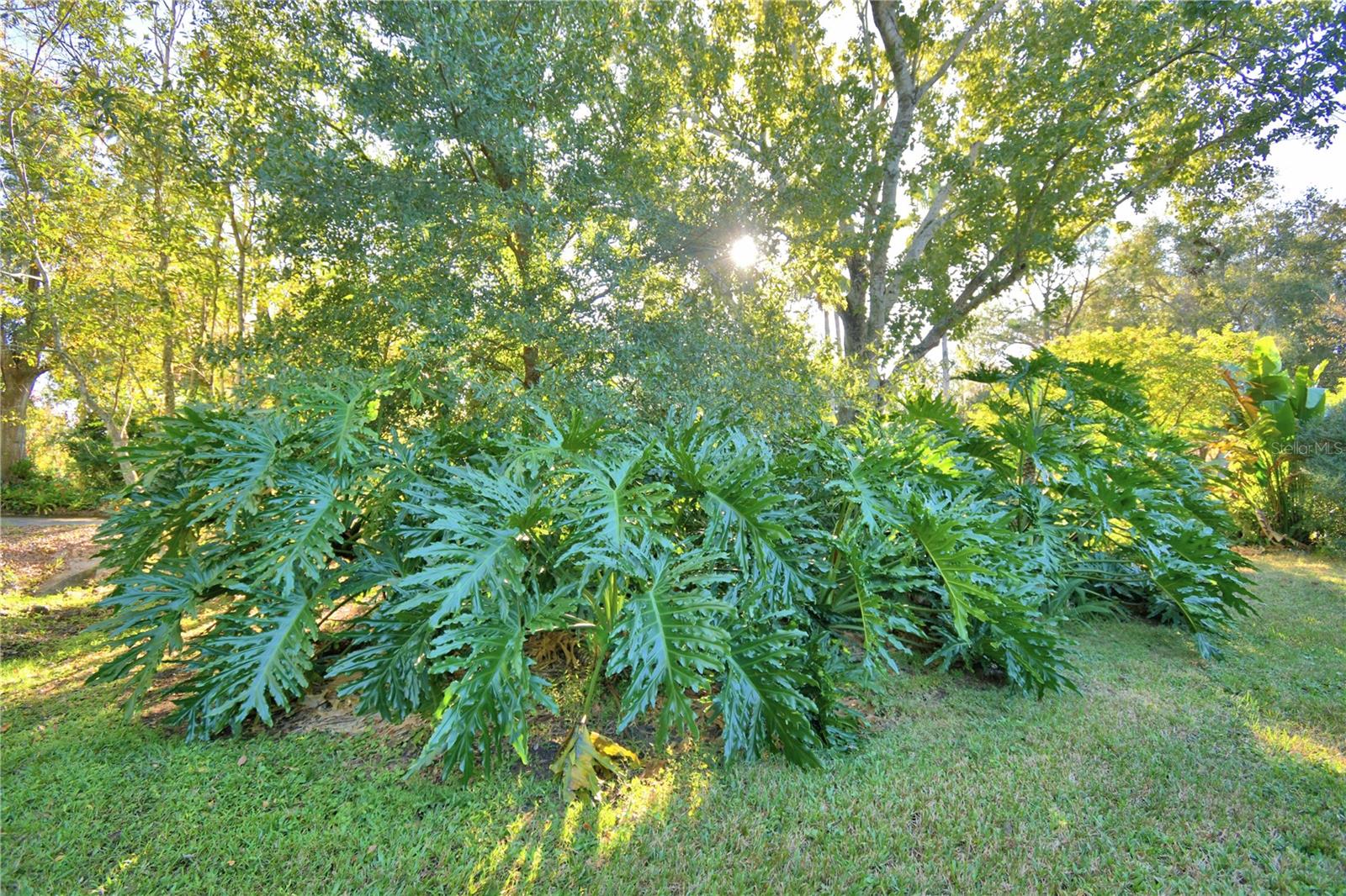 FLORIDA HIGHLAND CO - Residential