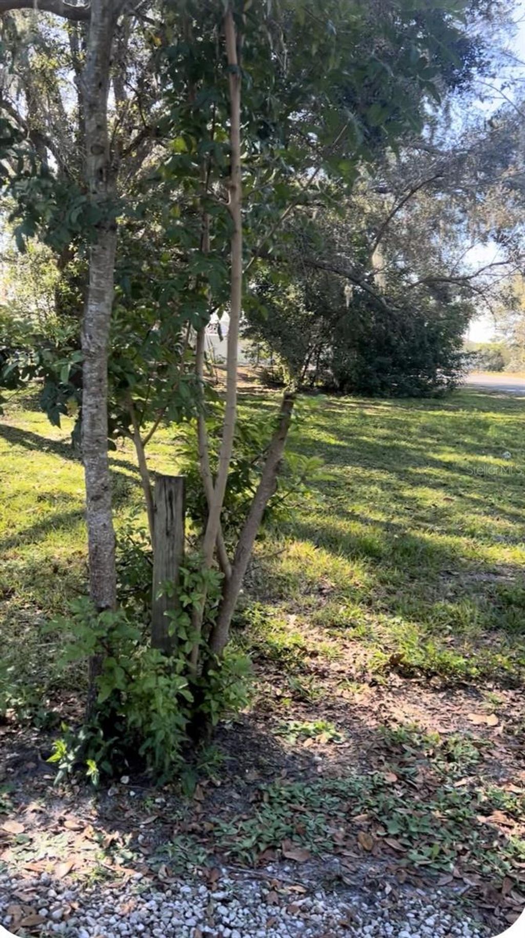 Photo of 337 Waterview Drive, Polk City, FL 33868 (MLS # O6375324)