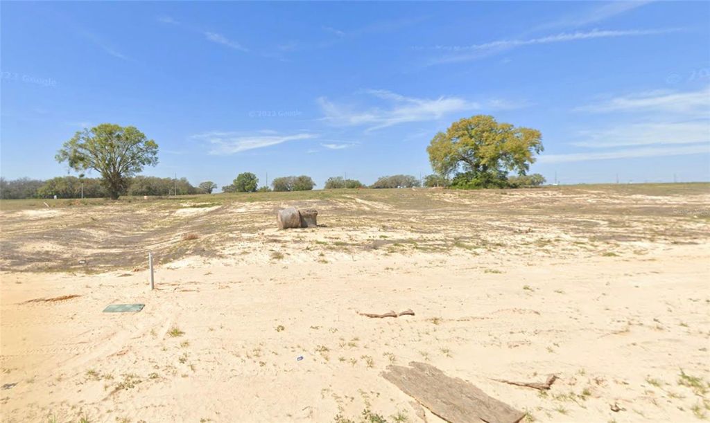 Photo of 10021 Dolphin Gull Circle, Thonotosassa, FL 33592 (MLS # J985729)