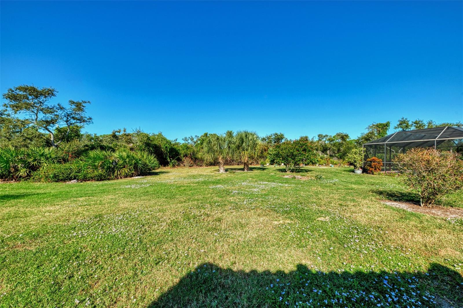 LAUREL HOLLOW - Residential