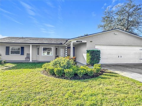 A home in DELTONA