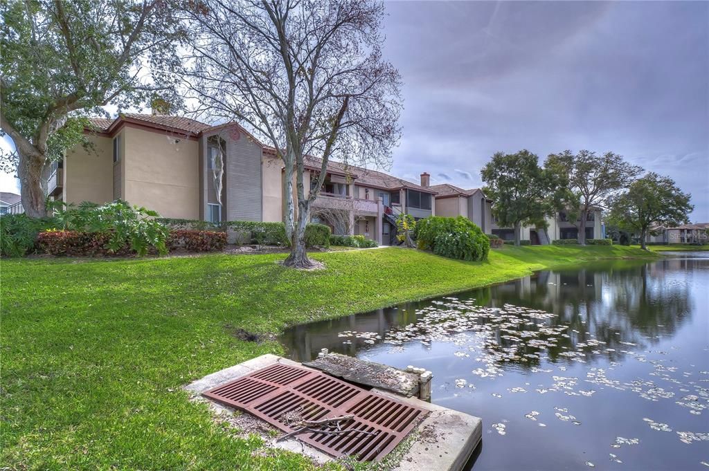 listing image 80
