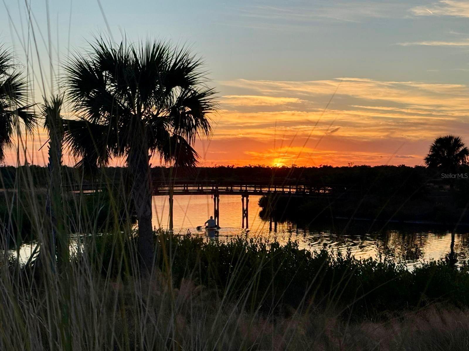 PINE MEADOW - Residential