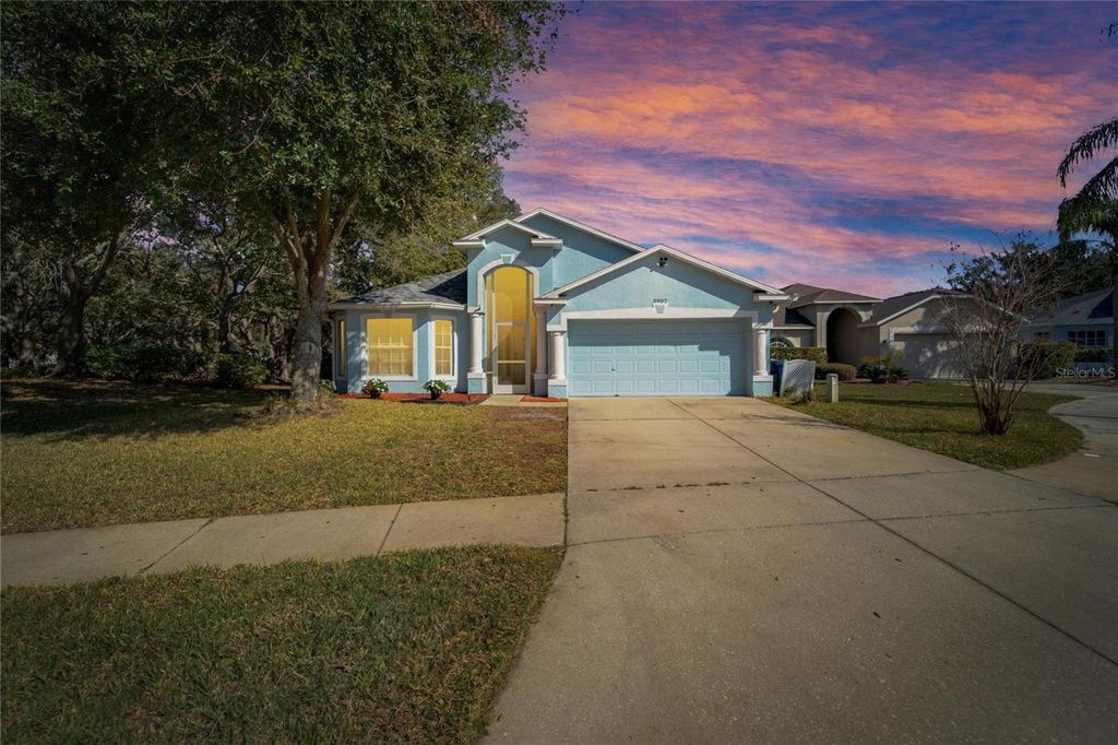 Photo of 3902 Ixora Court, Riverview, FL 33578 (MLS # TB8349693)