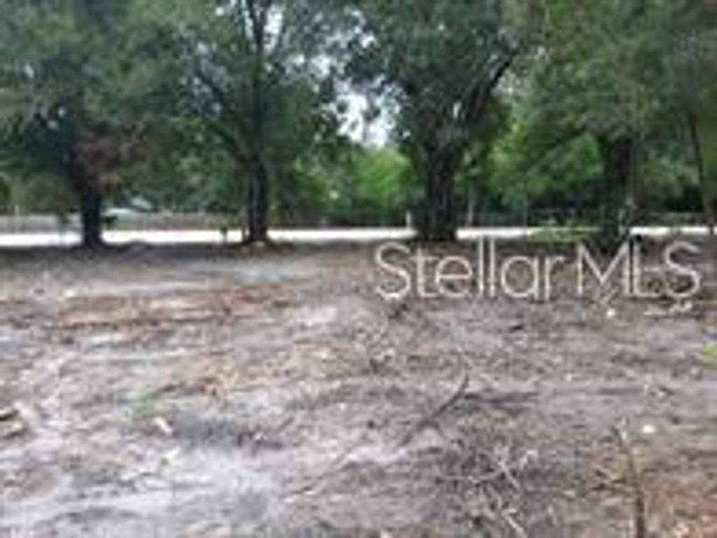 Photo of 15940 Lake Magdalene Boulevard, Tampa, FL 33613 (MLS # TB8475226)