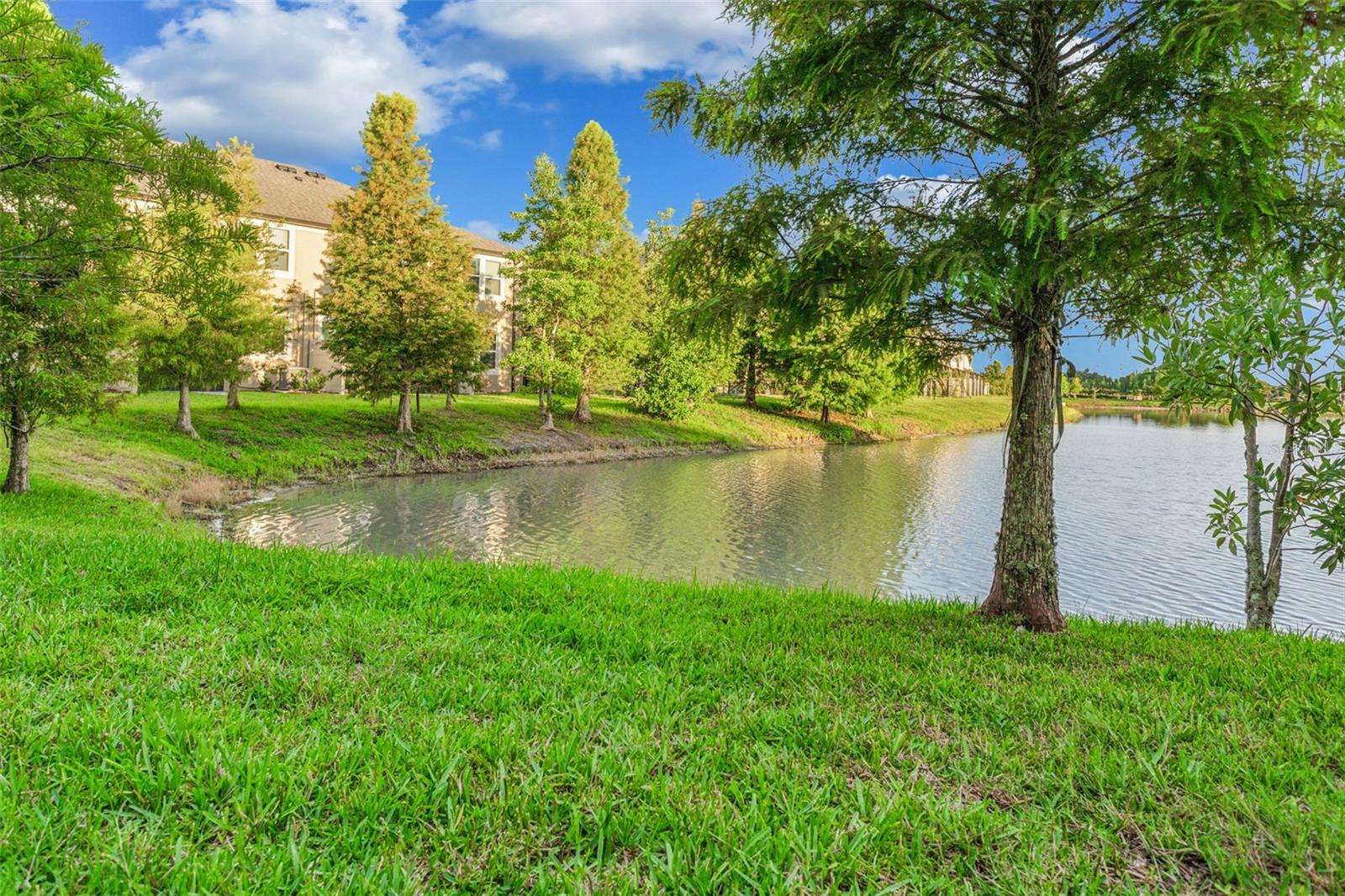 WINDERMERE ESTATES - Residential