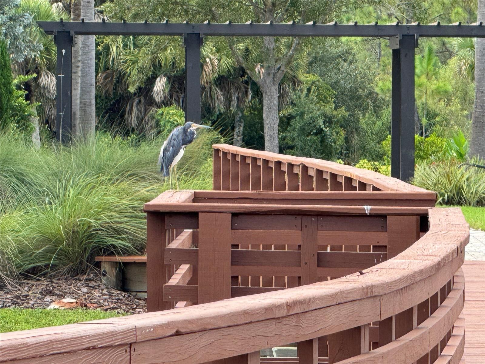 VICENZA PH 2 - Residential