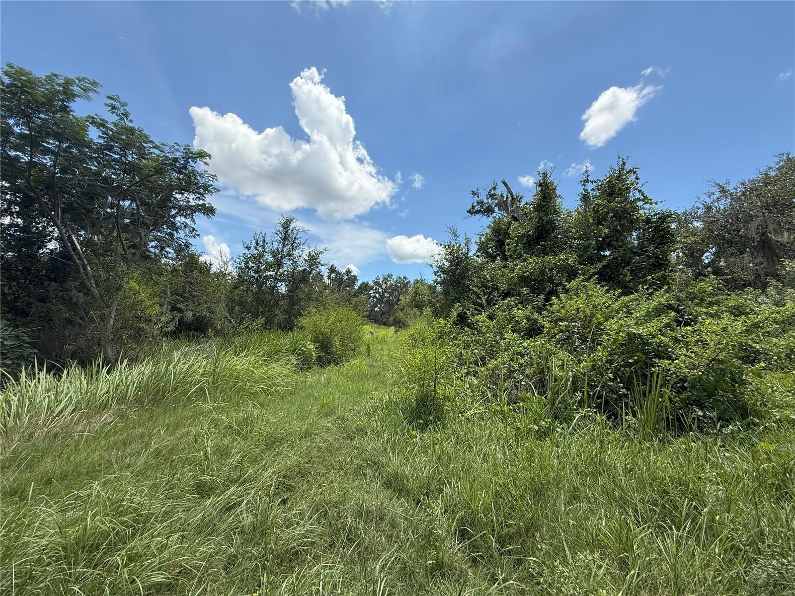 HOLLOMAN ROAD