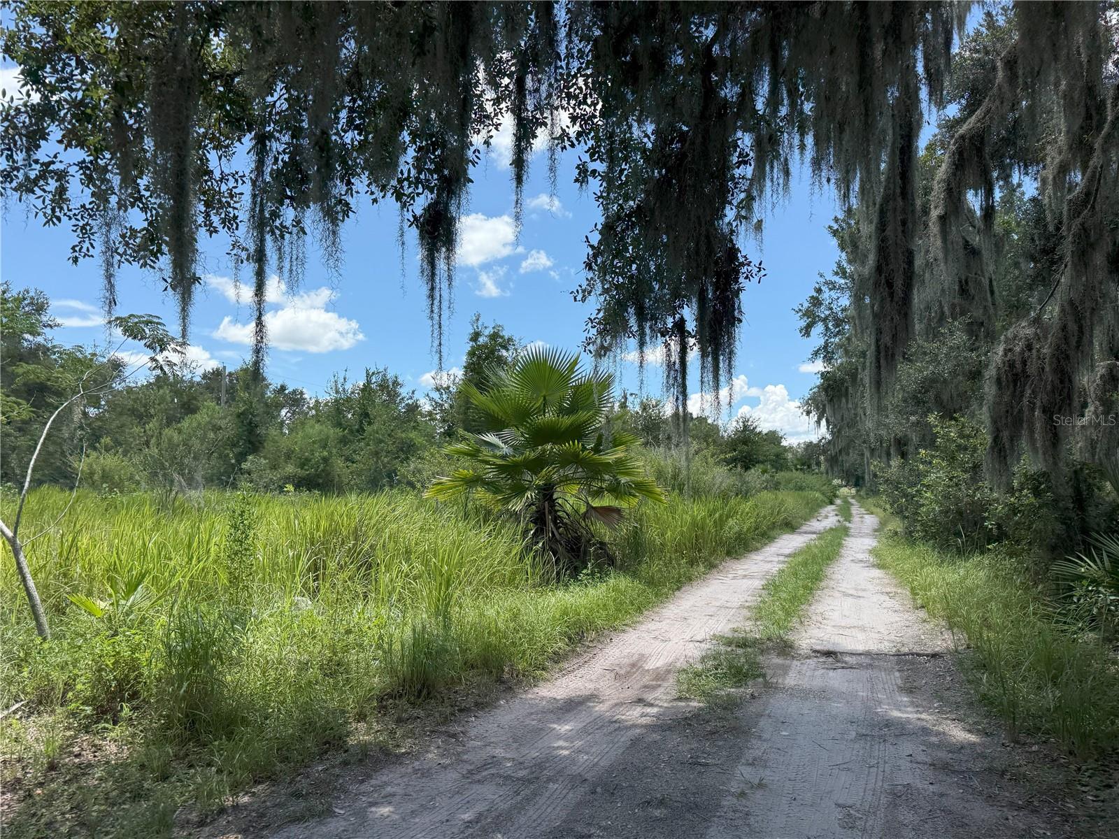 Build your dream home. Nearly 4 Acres of wooded land just off of Hwy 60, Less than 20 minutes from Brandon, Lakeland and Plant City. The property is high and dry, outside of a flood zone. No HOA or deed restrictions