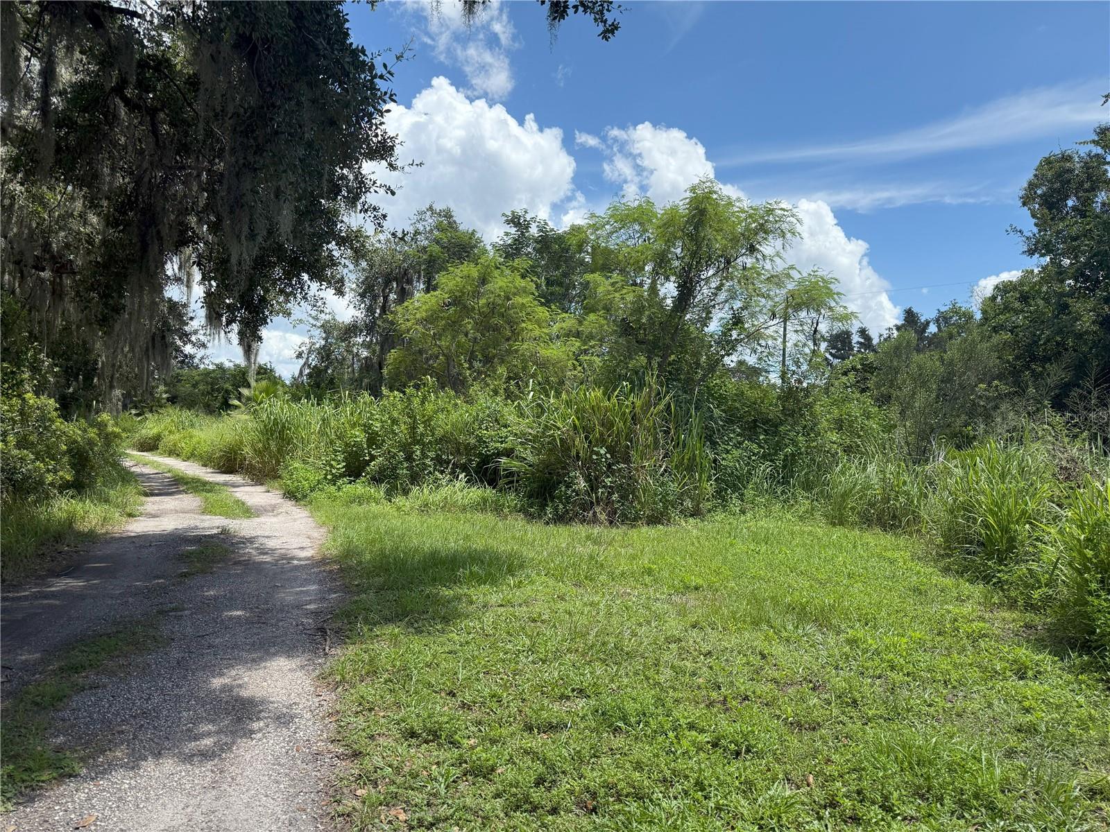 HOLLOMAN ROAD