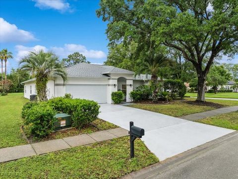 2 SAW MILL COURT PALM COAST FL 32164