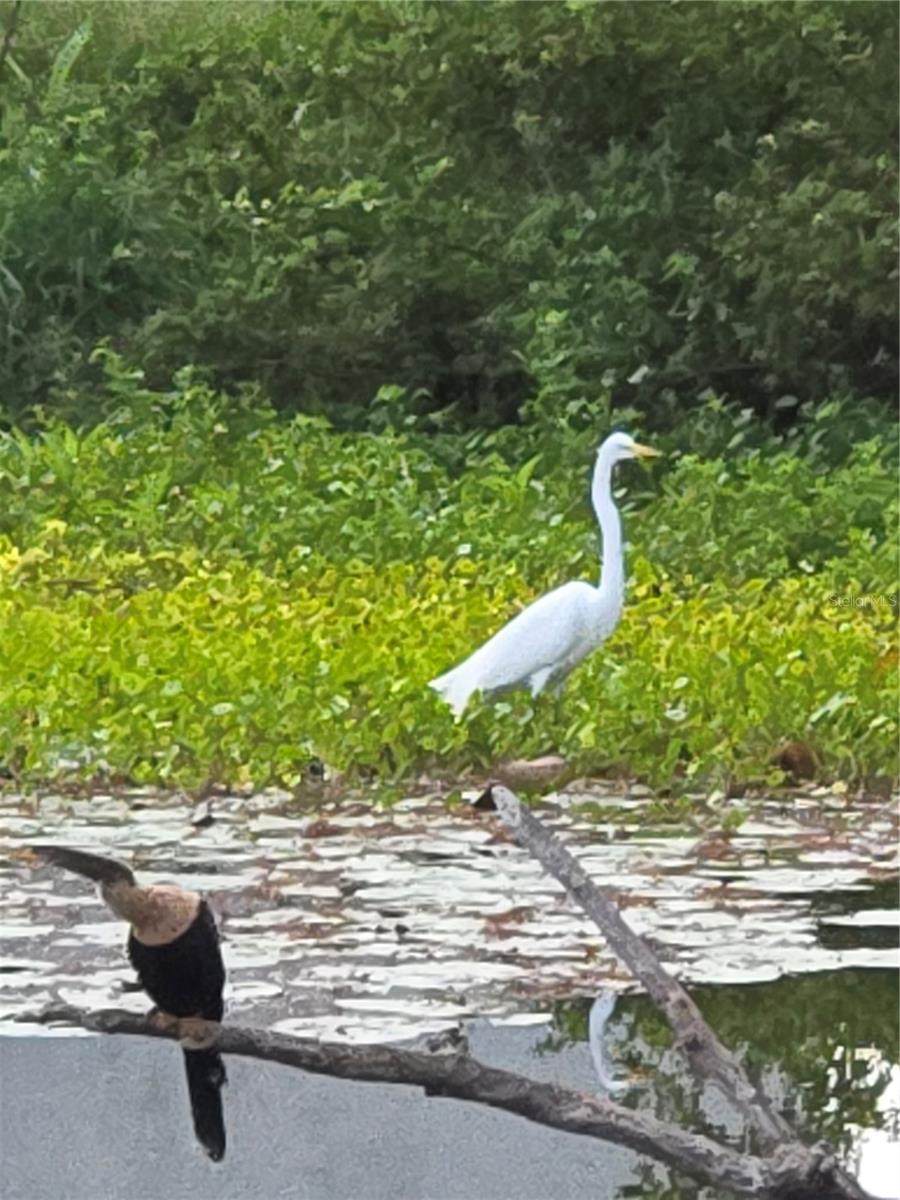 SOUTH VENICE - Residential