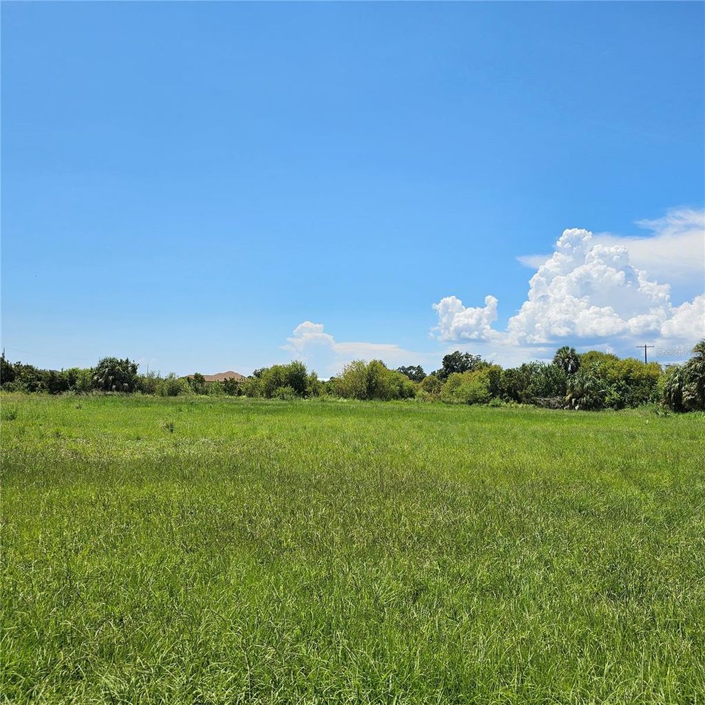 Photo of Smilodon Trail, Ruskin, FL 33570 (MLS # TB8418968)