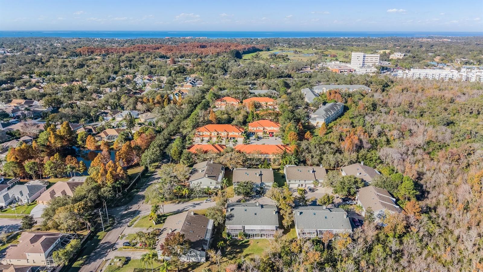 OAKLEAF CLUSTER HOMES - Residential