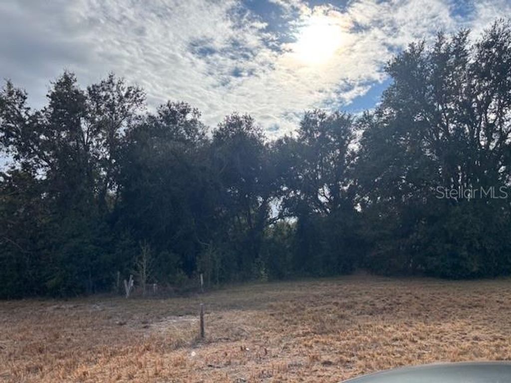 Photo of 10611 Sumner Road, Wimauma, FL 33598 (MLS # TB8472281)