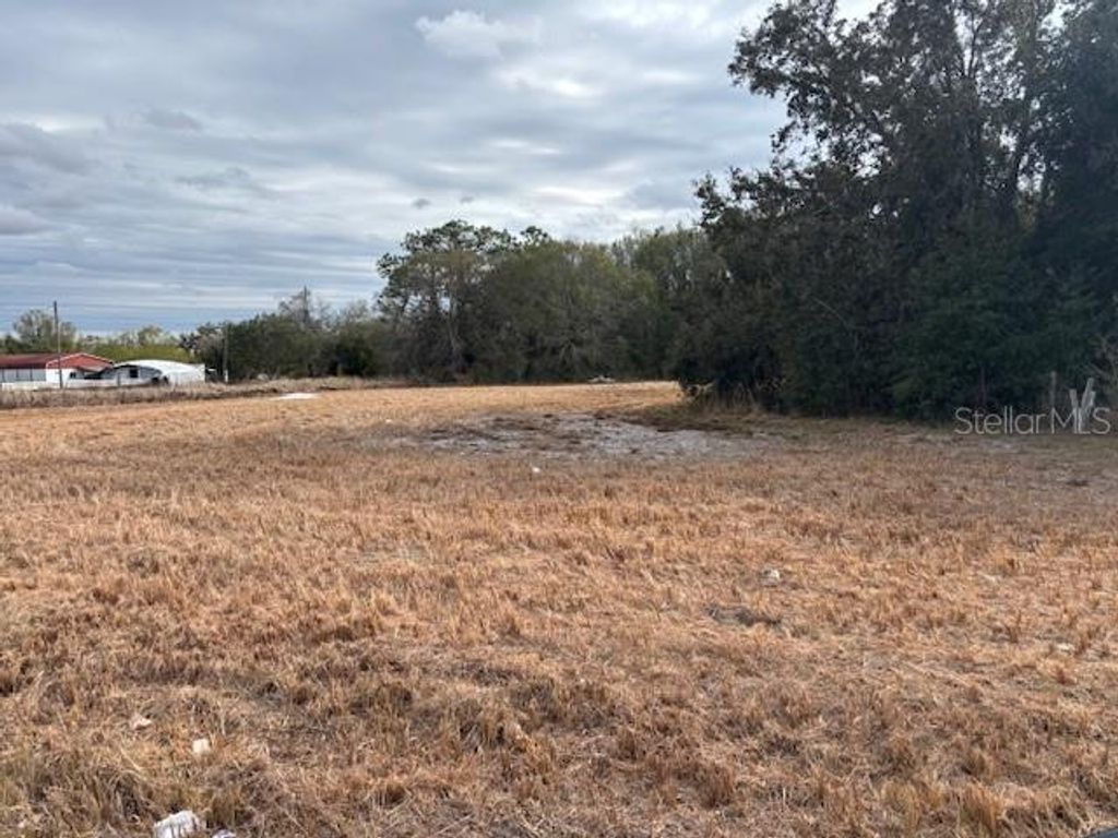 Photo of 10611 Sumner Road, Wimauma, FL 33598 (MLS # TB8472281)