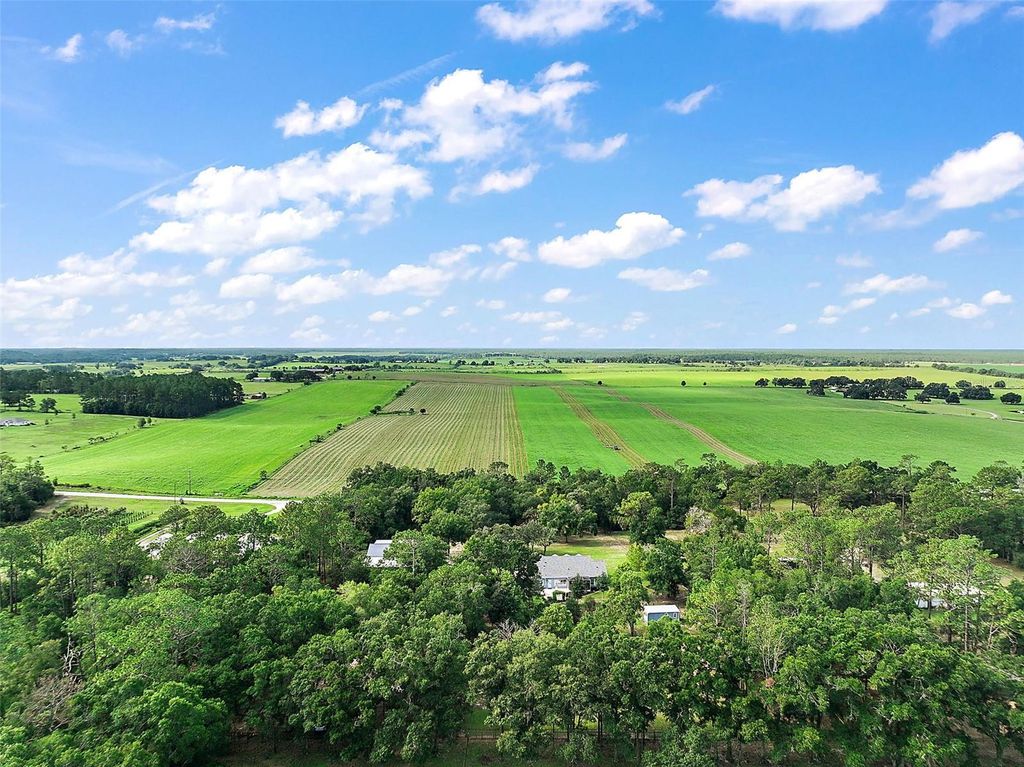 Photo of 16231 SE 80th Street, Morriston, FL 32668 (MLS # TB8406836)