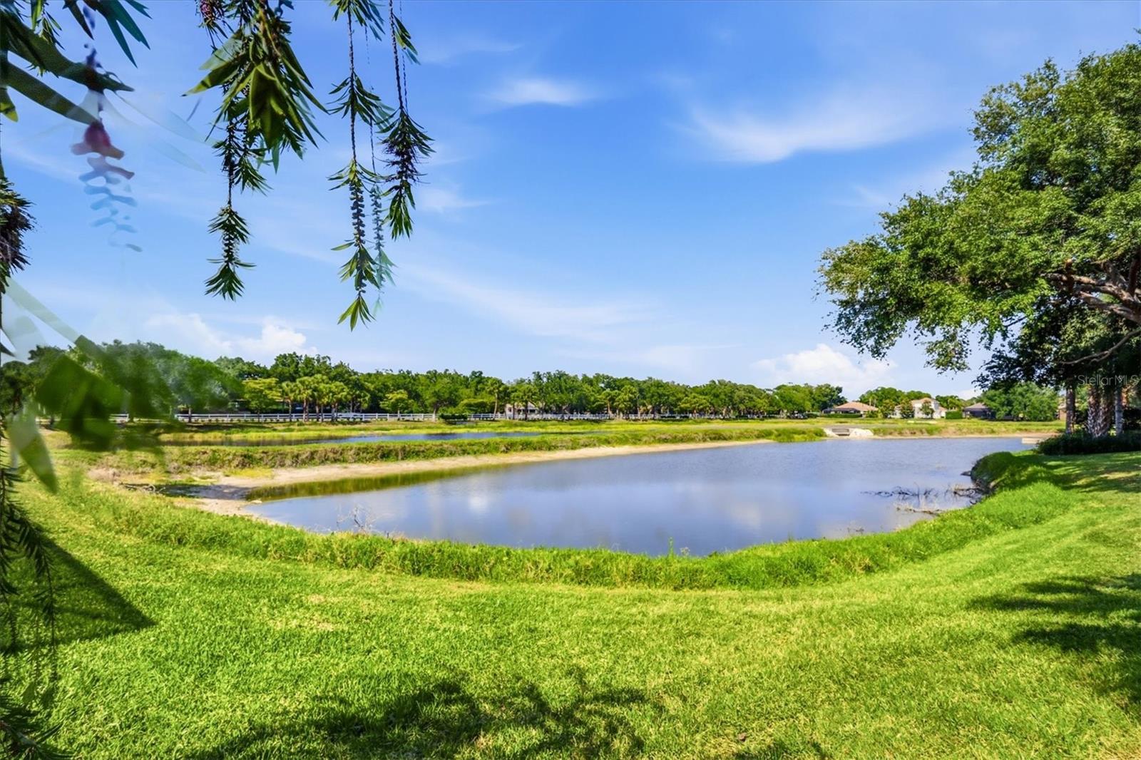PARK TRACE ESTATES - Residential