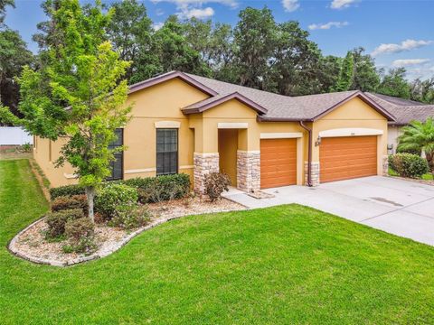 A home in VALRICO