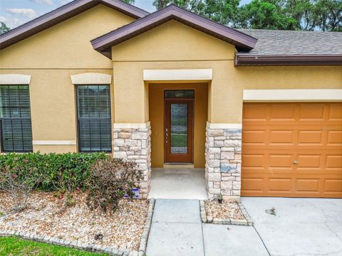 A home in VALRICO