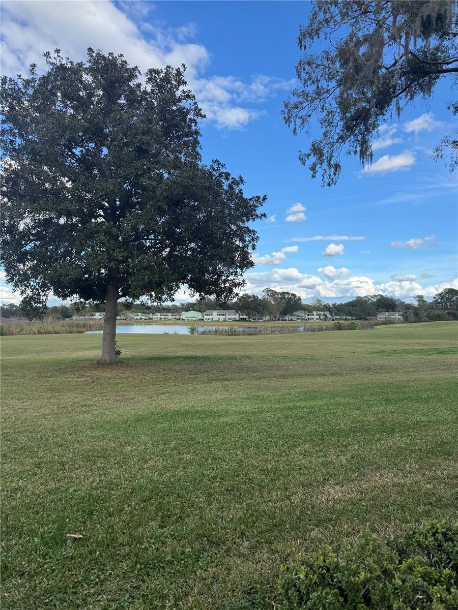 FAIRWAYS/SILVER SPGS SHRS CONDO - Residential