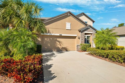 A home in LAND O LAKES