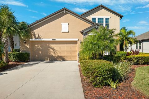 A home in LAND O LAKES