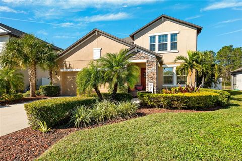 A home in LAND O LAKES