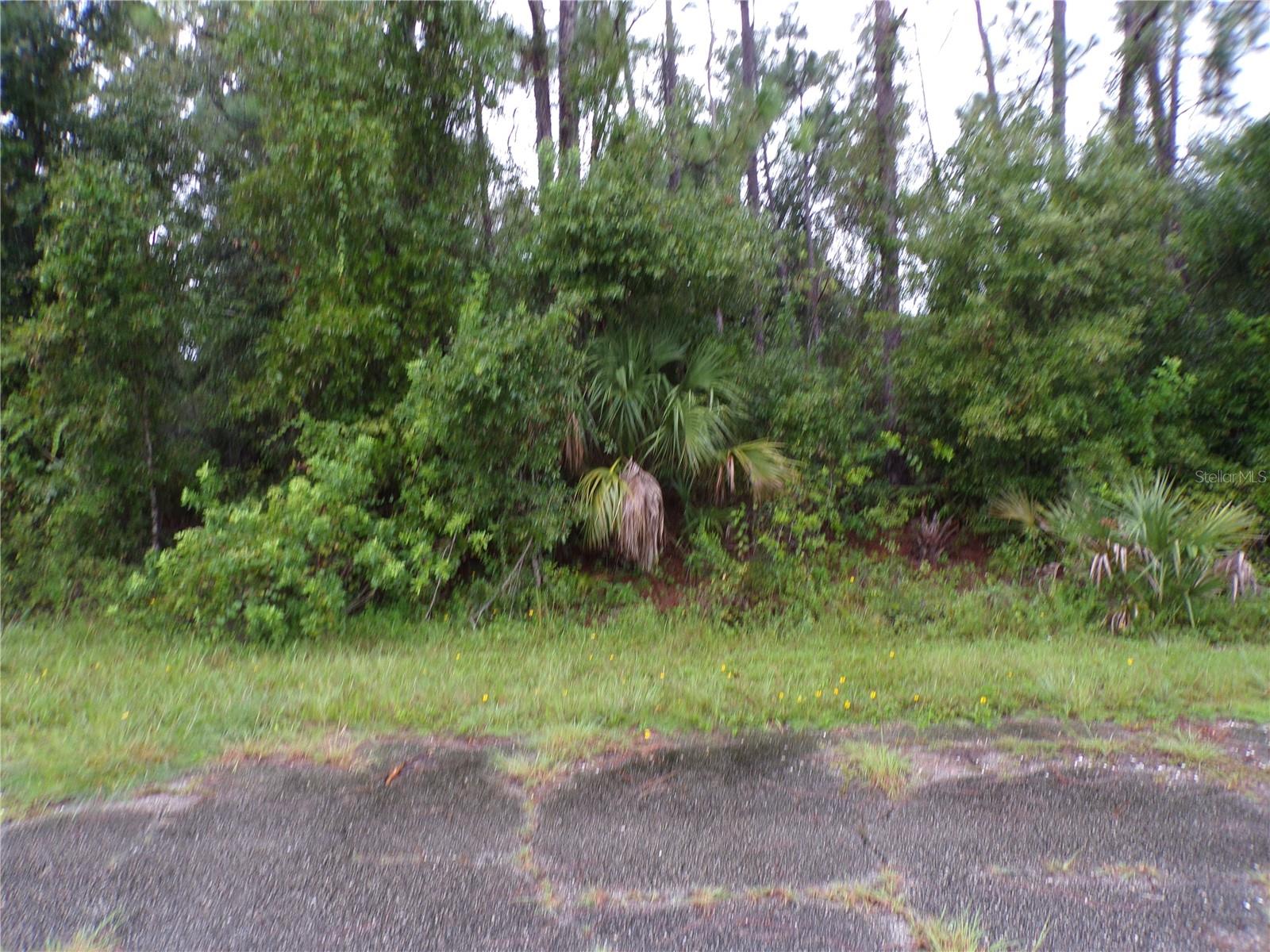 This lot is on a quiet street and is in the highly desirable Flood Zone X. This would be a great place to build your dream home and retire or raise your family. Less than 4 miles to I75 makes this location an easy commute to almost anywhere, and only 22 miles to Chadwick park and Beach with amazing sunsets, 9 miles to Cocoplum Village Shops with lots of shopping and dining options. Atlanta Braves spring training and the fairgrounds are just minutes away, also multiple golf courses and some of the best boating and fishing in all of Florida. Red Soxs, Orioles, Twins and Rays spring training all within an hour’s drive. Buyer and buyers’ reps are responsible for determining environmental conditions and endangered species restrictions. This lot is priced to sell so please call for availability! This lot is at a great price point for the investor call today.