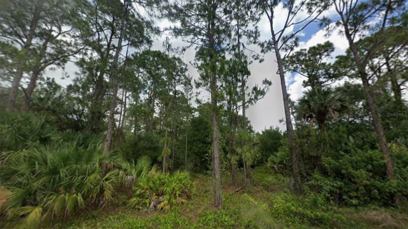 GOLDEN GATE ESTATE UNIT 85 - Land